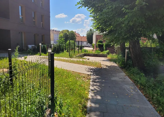 W Sercu Elbląga Elbląg